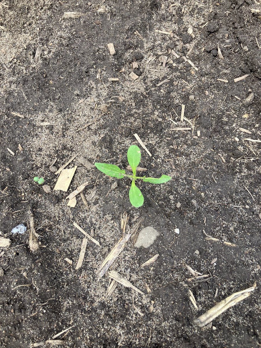 Ryan Miller tweet media