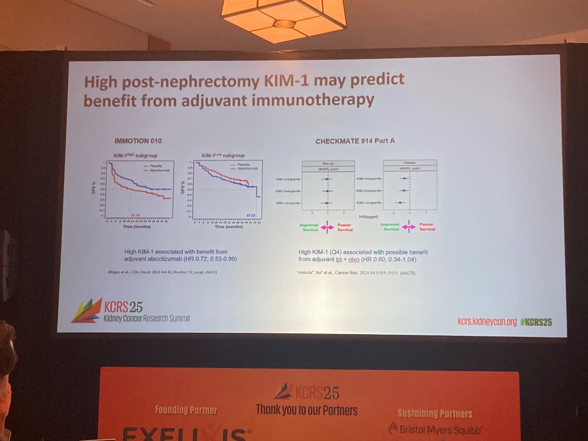 Chrislabaki1's tweet image. Great talk by @VincentWenxinXu regarding the major role of KIM-1 in guiding therapeutic decision-making in #RCC
@kidneycan #KCRS25