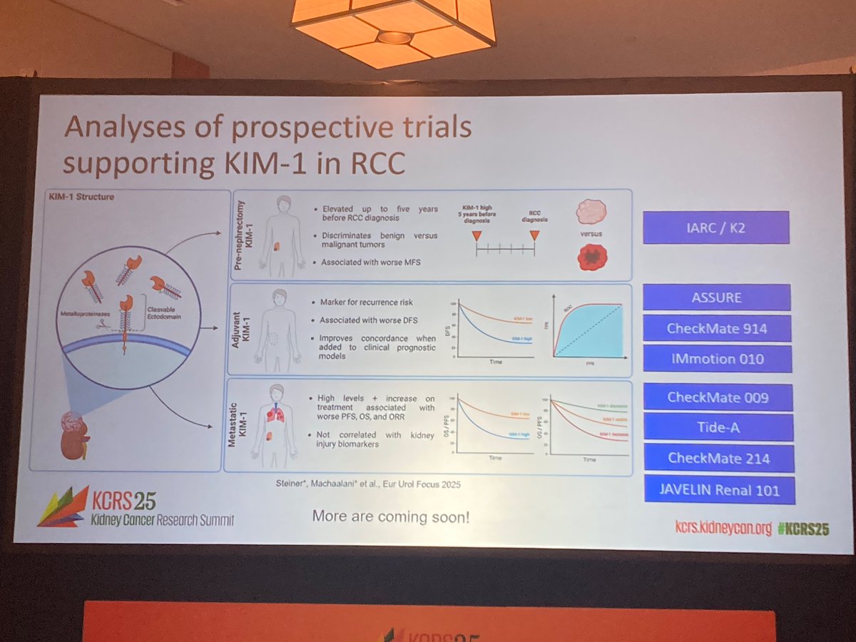 Chrislabaki1's tweet image. Great talk by @VincentWenxinXu regarding the major role of KIM-1 in guiding therapeutic decision-making in #RCC
@kidneycan #KCRS25