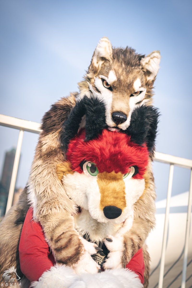 灰狼君 GrayWolf 小灰 大灰 格里沃 (@frankfan0214) on Twitter photo 周末就是UTFG啦!很期待與大家互動~❤️
兩天無論是講座還是合照時間,都有機會遇到我喔!🫶
大家一起好好玩吧~嗷嗚~🐺✨
📸: <a href="/TanakaKouta1721/">晃汰|Infurnity 2025</a>
#FursuitFriday 周末就是UTFG啦!很期待與大家互動~❤️
兩天無論是講座還是合照時間,都有機會遇到我喔!🫶
大家一起好好玩吧~嗷嗚~🐺✨
📸: <a href="/TanakaKouta1721/">晃汰|Infurnity 2025</a>
#FursuitFriday