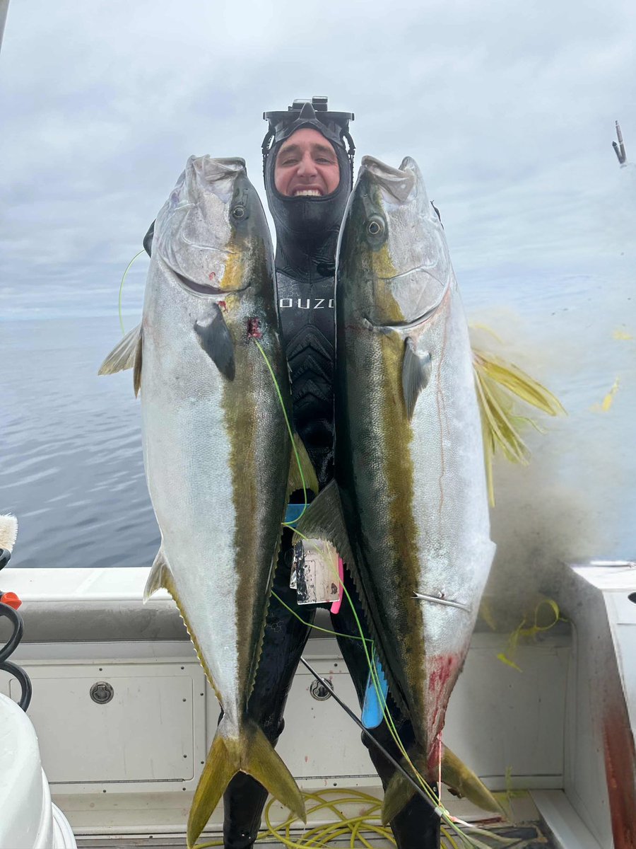 dtcforbreakfast's tweet image. David protein is selling cod.
My brand is selling hand caught hamachi.
The 19x employee of the month with the pivot of the century 📈📈