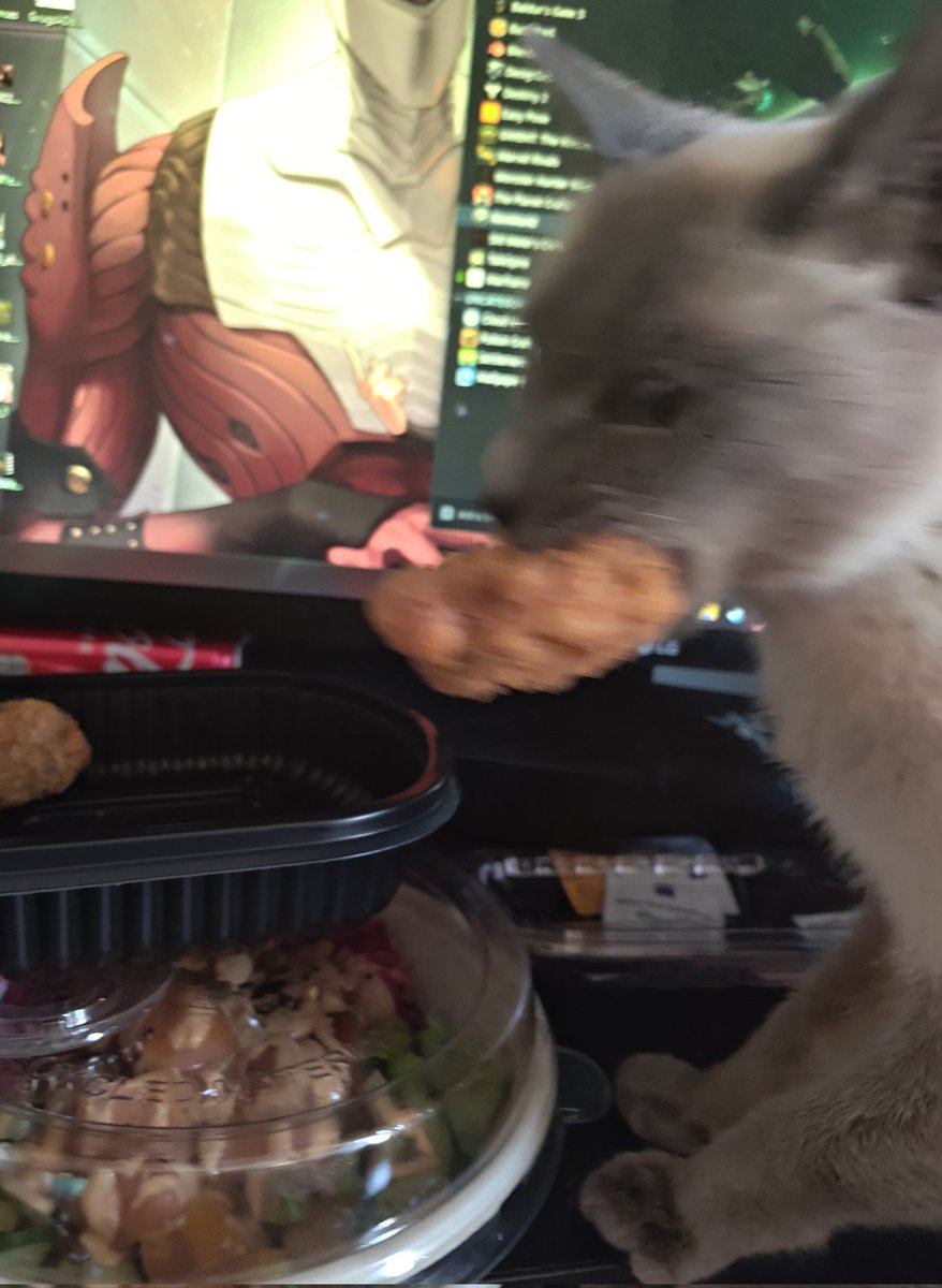 Searyn_'s tweet image. Chicken thief &amp;gt;:(