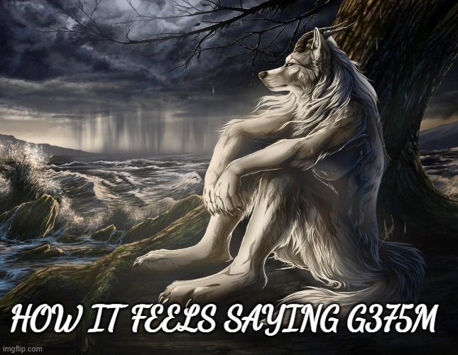 375ai_'s tweet image. 