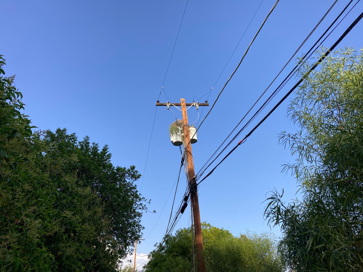 SRPconnect's tweet image. Our vegetation management team helps keeps customers safe and in power.
Learn more: srp.net/9y12u9