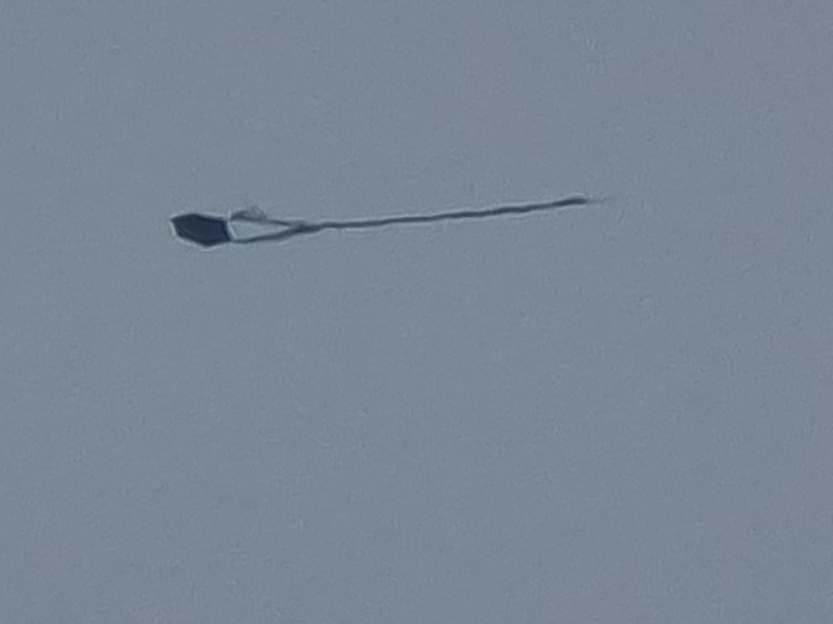 IainMillerW33's tweet photo. Seen this in Motherwell today what is it https://t.co/jL14xqcZcw