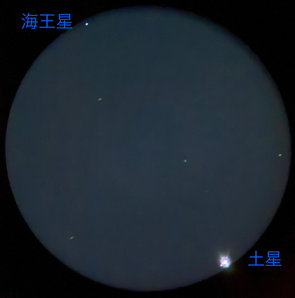 echigon4's tweet image. 薄雲越しながら久しぶりの月夜✨
近くには #土星
3週間もラブラブだったのに最後にやっとギリギリ収められた #土星と海王星大接近🔭👀(40倍)
朝9:38に #下弦 迎える月は #地球照 も🌗
#いまつき #いまそら #月齢22.2