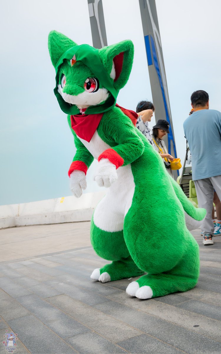 Are you ready for being hunted by me! 
准备好被我狩猎了吗！

#fursuitfriday #fursuit #furry #墨兽居