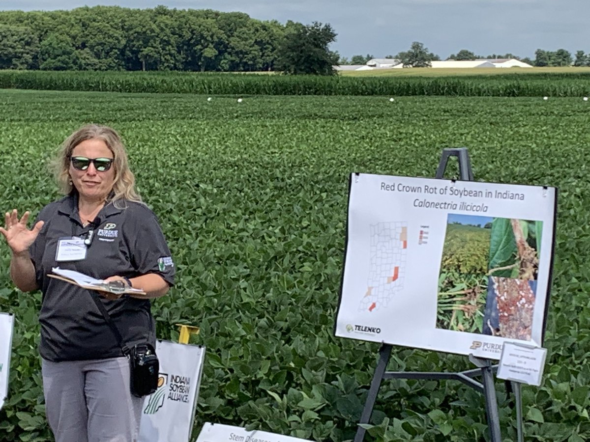 BRNAgNews_Jared's tweet image. #OnTheGround for @brownfield at the 2025 #Soybean Showcase at @PurdueAg.
#AgNews