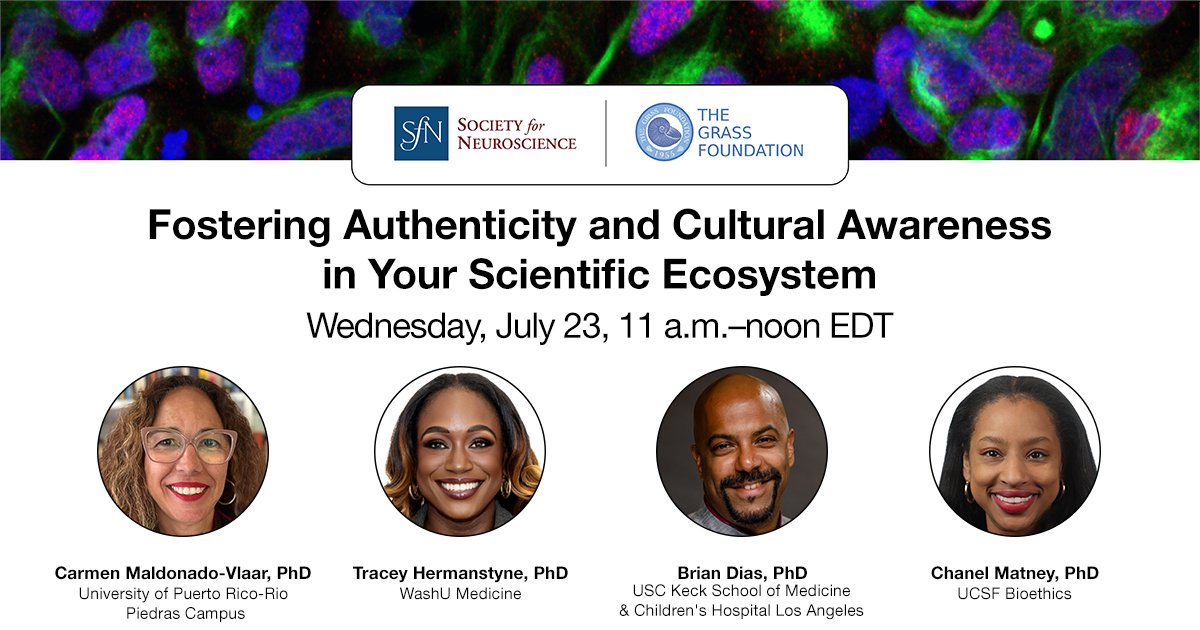 SfNtweets's tweet image. Each scientist brings a unique identity and cultural background into their professional space.
Join @SfNtweets and @grassfoundation's upcoming webinar to learn how you can navigate these dynamics and create a more inclusive scientific community.
🔗: vist.ly/3y9id
