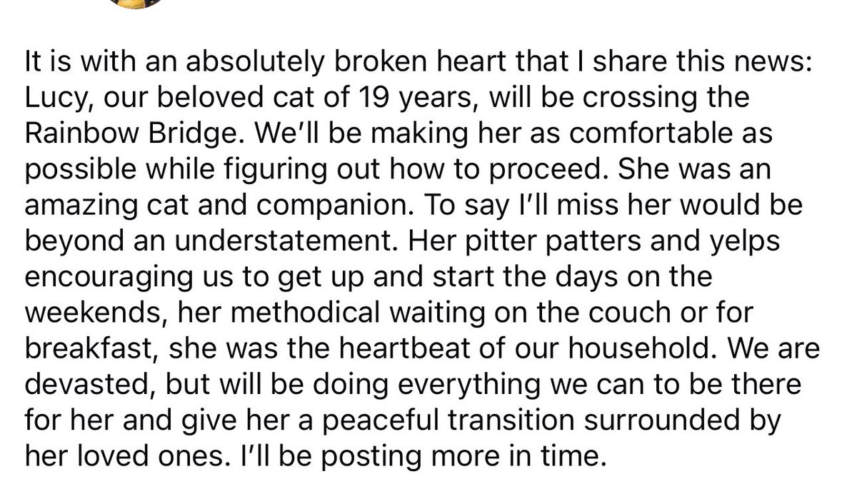 RonPlacone's tweet image. Heartbroken to report that Lucy will be crossing the Rainbow Bridge. She was an incredibly loving cat who was very, very loved. She was the heartbeat of our household, and my companion for 19 years. I’ll be posting more in time. For now, getting through it.