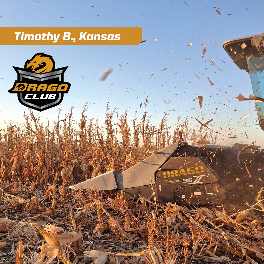 "The thing that stands out for us is that the snap rolls bring the ear down a lot more gently so there is less butt shelling. I don’t see kernels of corn bouncing around in my header like I used to," says Drago Club member Timothy B., Wallace, Kansas.