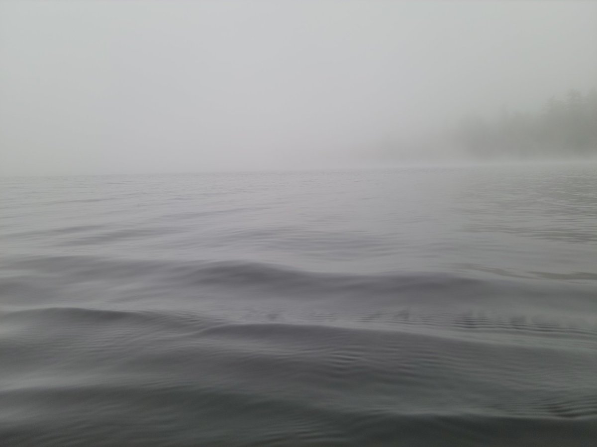 MasterGir's tweet image. Where the fuck did I just wake up
