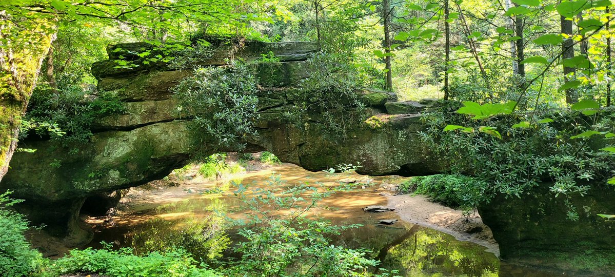 longhunter09's tweet image. Rock Bridge Trail, Red River Gorge, Daniel Boone National Forest