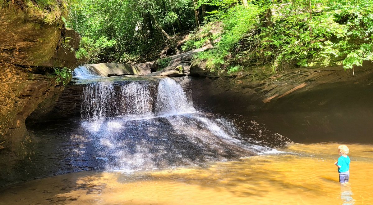 longhunter09's tweet image. Rock Bridge Trail, Red River Gorge, Daniel Boone National Forest