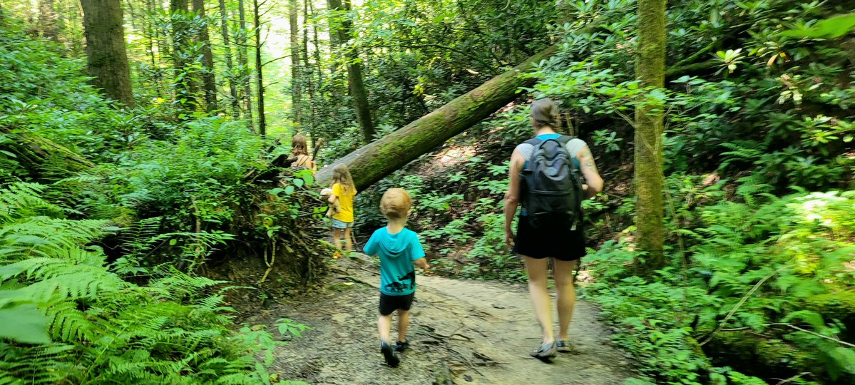 longhunter09's tweet image. Rock Bridge Trail, Red River Gorge, Daniel Boone National Forest