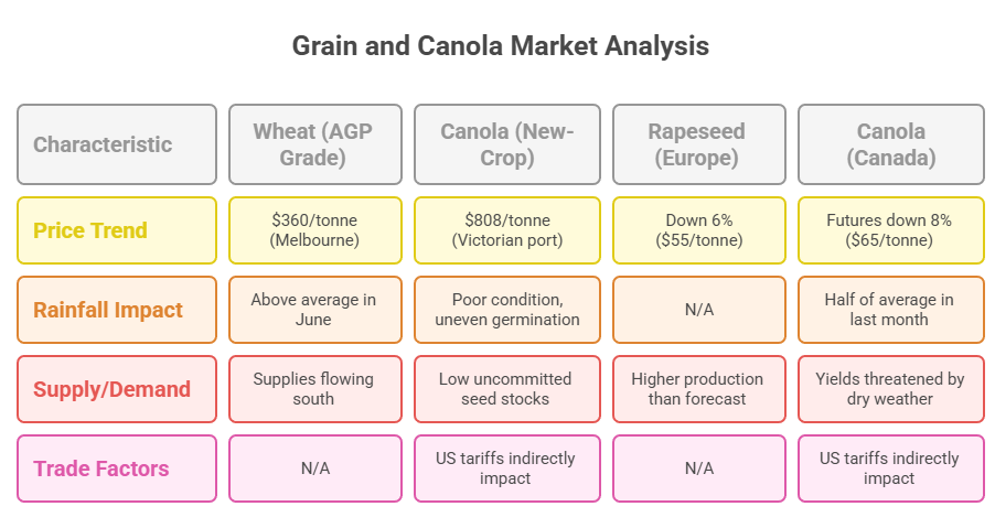 Despite the high rate of grain feeding, the benchmark prices in Melbourne are at close to historical averages. Current stocks of uncommitted canola seed are low and the prices reflected in our tables trail the new-crop prices by $20 a tonne.