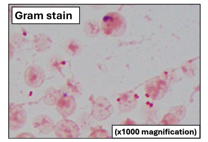 CooperPathology tweet media
