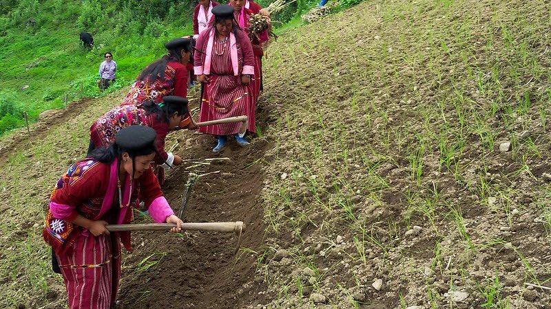 marcosathias's tweet image. It is time we restore our relationship w/ nature🌱 to one that is more balanced, less exploitative, & more harmonious.
The @IPSI_Satoyama (#COMDEKS) exemplifies ‘societies living in harmony with nature’ & is 🔑 to achieving the #KMGBF.
My remarks: go.undp.org/w4e
#HLPF