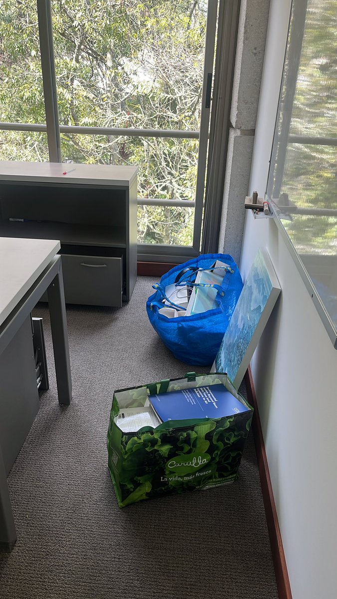 Sandra Aguilar-Gómez (@sandraguilarg) on Twitter photo Last day <a href="/EconomiaUAndes/">Economía Uniandes</a>, a home that will always be in my mind and heart.
I achieved so many dreams in here that I was able to envision new ones that I will now pursue elsewhere.
🌱Gracias infinitas 💚 Last day <a href="/EconomiaUAndes/">Economía Uniandes</a>, a home that will always be in my mind and heart.
I achieved so many dreams in here that I was able to envision new ones that I will now pursue elsewhere.
🌱Gracias infinitas 💚
