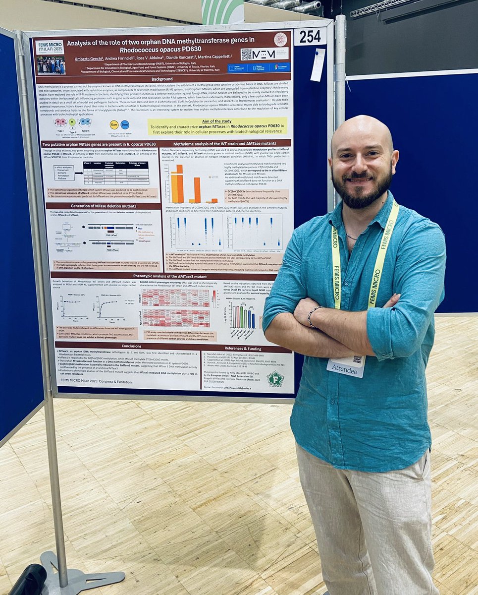 Martina Cappelletti tweet media