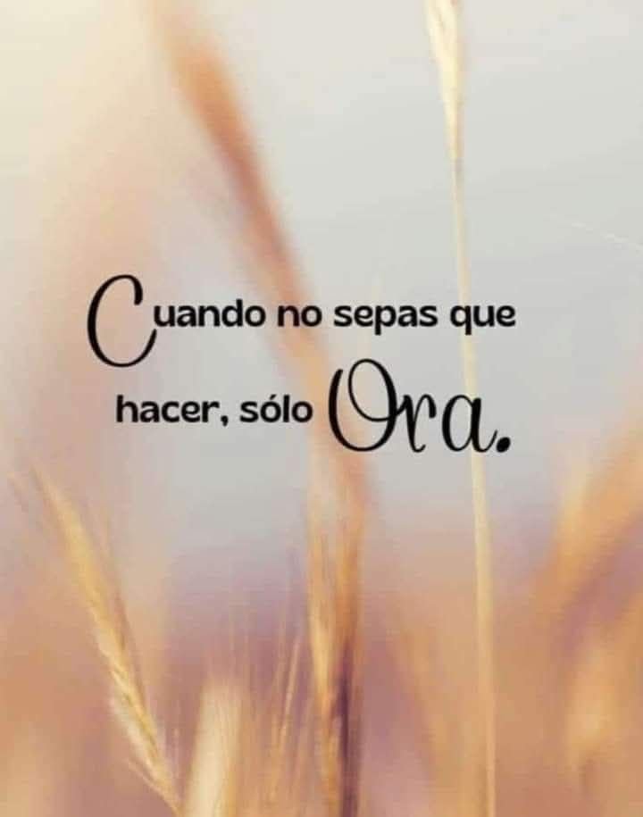 Pildorasdefe (@pildorasdefe) on Twitter photo 