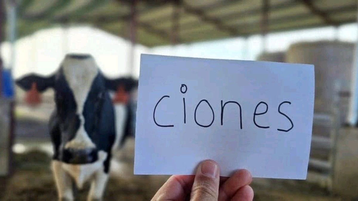 Necesito 👇