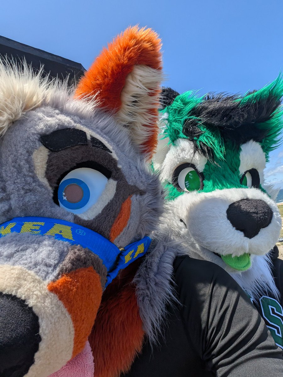 PartDoggo's tweet image. Just 2 pretty &quot;best friends&quot;