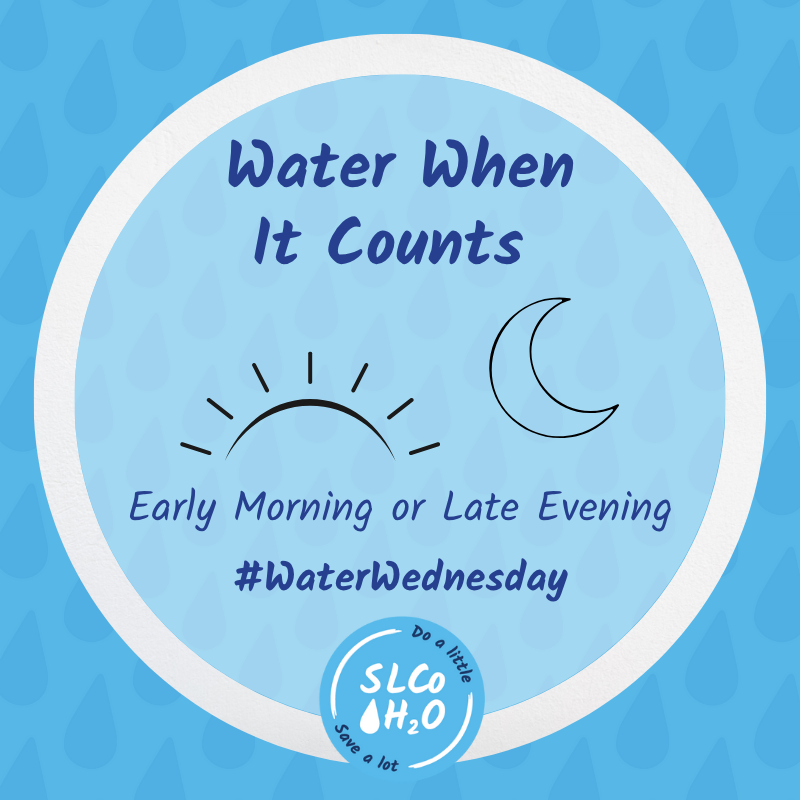 💧 Water when it counts! 

Early morning (before 10 am) and early evening (after 6 pm) watering can save 2,000–4,000 gallons per month for the average yard. 

It’s a simple change that makes a big difference. 

#WaterWednesday #SaltLakeCounty