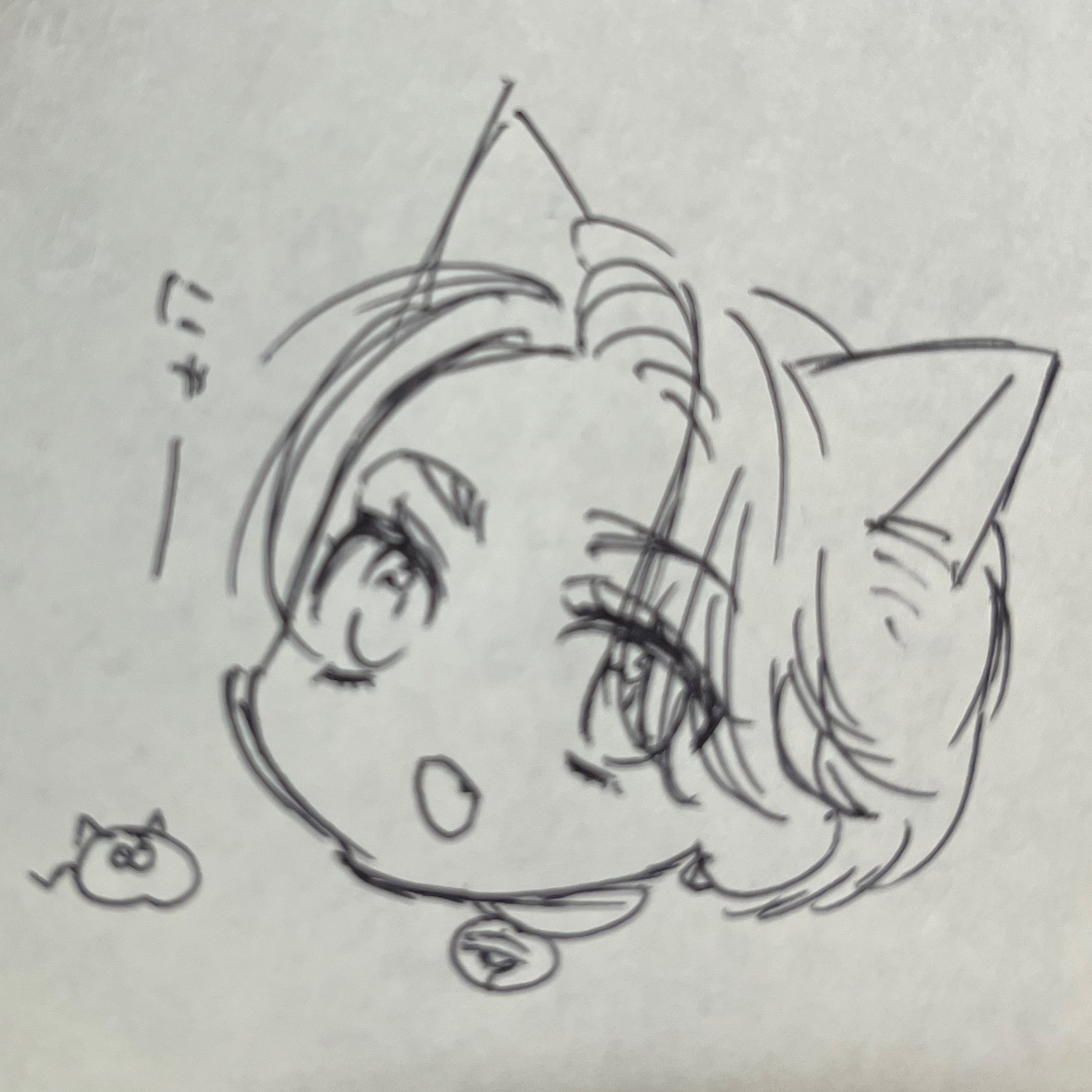 ⑤猫の日♡限定m(=✧ω✧=)m✧ ✧ ✧ 白猫♡白猫　猫ひな人形 il_1080xN.4213738228_pfhq.jpg