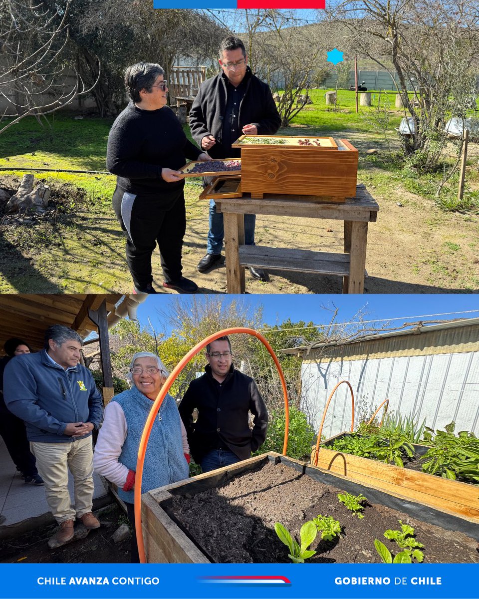 FOSISCoquimbo's tweet photo. Estuvimos en #Punitaqui visitando a familias del programa #SeguridadAlimentaria 🌿🍅
Ya cuentan con mesas de cultivo, hornos de barro e invernaderos para producir sus propios alimentos.
Una iniciativa del Ministerio de Desarrollo Social y familia, #FOSIS y el municipio local. https://t.co/YNa1AuhRZx