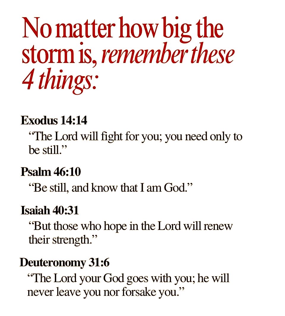 GoodShepherd316's tweet image. If GOD be for us;
who can be against us ?
Romans 8:31