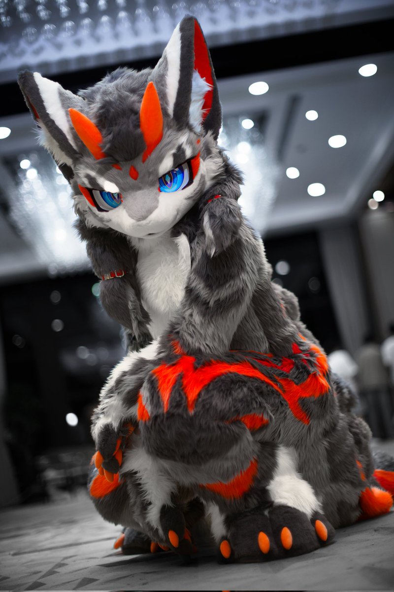 LeokkSwift2333's tweet image. 你需要我的帮助?
You require my assistance?
#FursuitFriday
📷:@狼叔
🪡:@ErqingZ
内陷:@QL_YuChi
