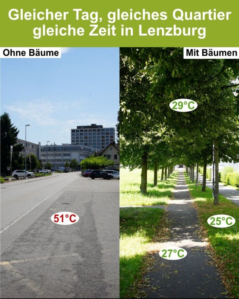 gemperlipascal's tweet image. Même jour, même quartier, même heure, à Lenzburg...
Avec et sans arbres

Source: Norbert Kräuchi sur LinkedIn