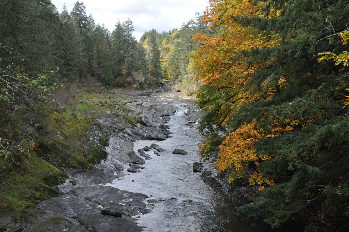 Casual Bartender Opportunity!

We’re looking for a dynamic and outgoing Bartenders to join the team at Cowichan Lake Recreation and deliver an exceptional guest experience.

For more information and to apply, please visit ow.ly/BI9F50Wrlwe