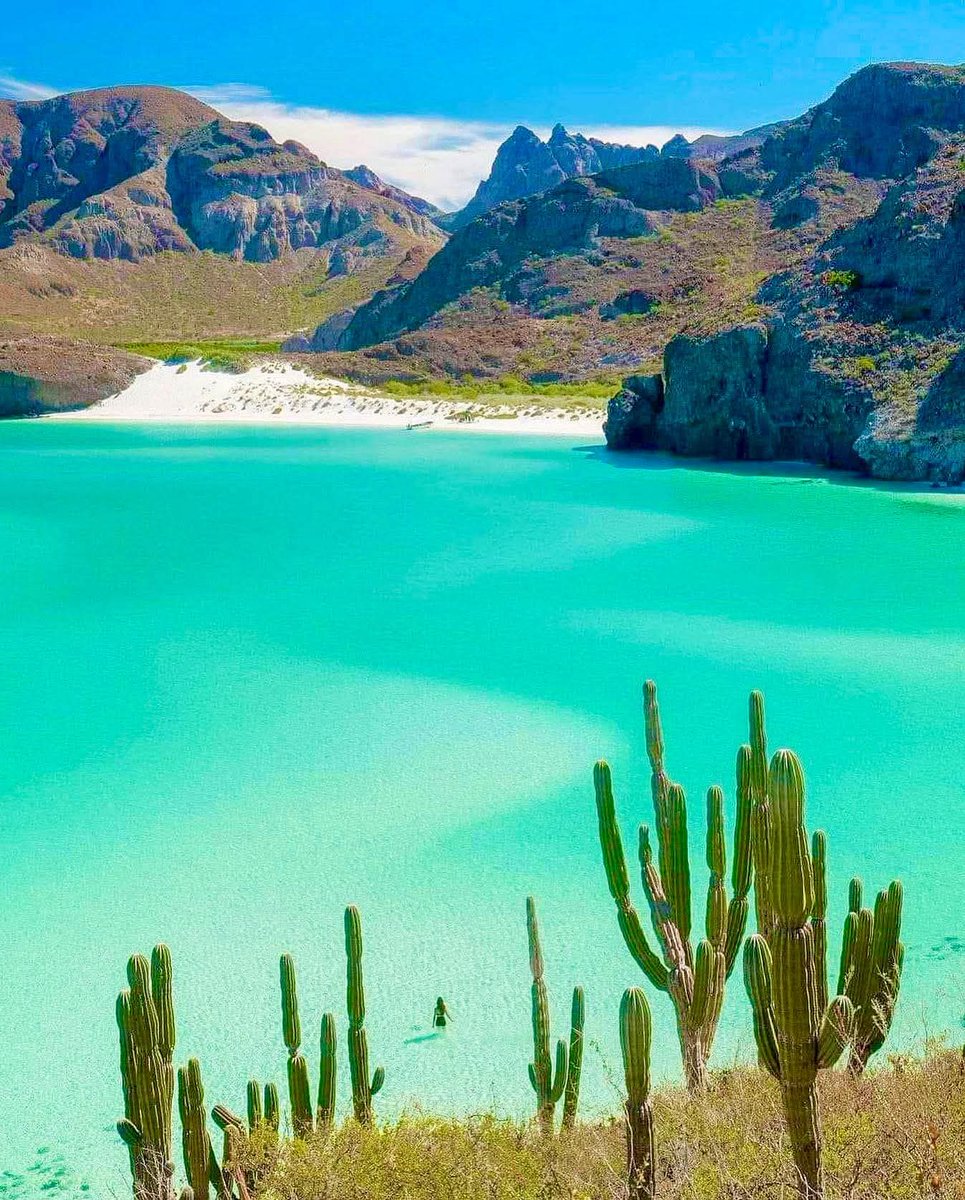 PostBajaSur's tweet image. 🌵Hermoso paraíso, La Paz , Baja California Sur 
#ViveLaPazMx ☑️