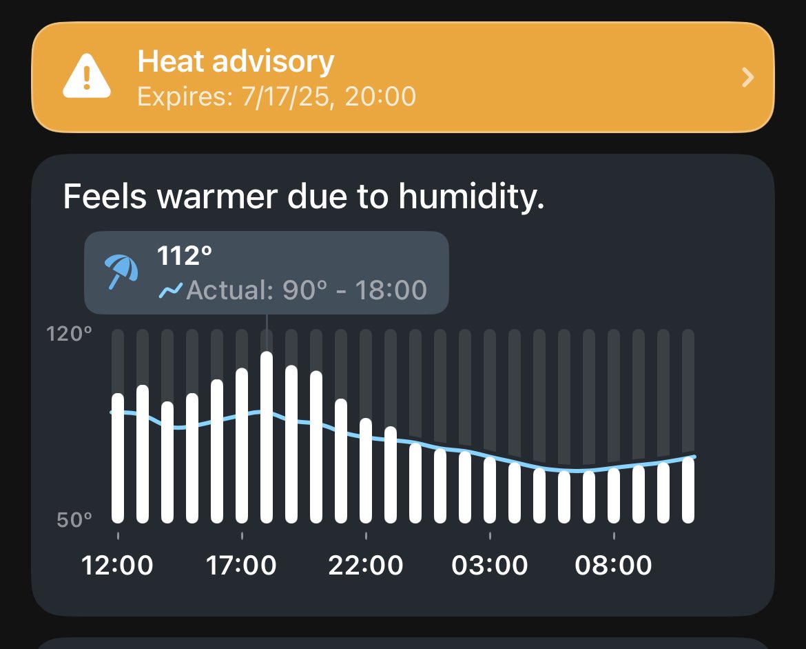 RCBOSS21's tweet image. Oh you wanna go do something outside??? It’s 112 degrees at 6PM and also it’s somehow raining and windy. Btw we have a new AI that can make your pictures look like it’s a cartoon isn’t that awesome.