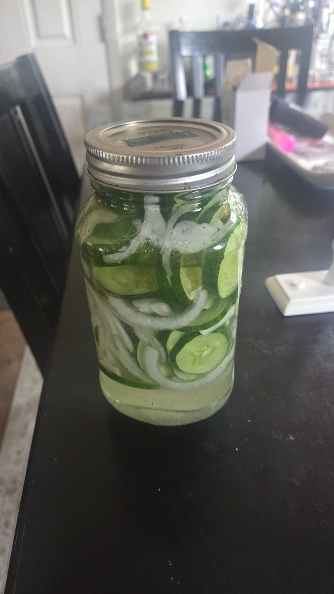 Homemade refrigerator pickles... 1 w/ apple cider vinegar, red pepper flakes, dill &amp; garlic... the other plain with white vinegar. 😋