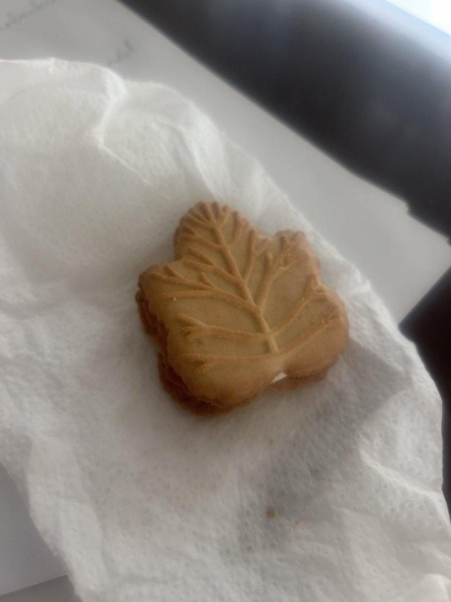 Tofu and egg on top of rice situation and sweet maple leaf cookie