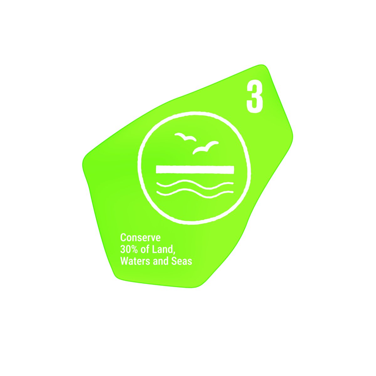 UNBiodiversity's tweet image. #Target3 of the Kunming-Montreal Global Biodiversity Framework (#KMGBF) is about conserving 30% of the planet’s land, waters and sea, especially areas of particular importance for biodiversity and ecosystem functions and services.
Learn more: 🔗cbd.int/gbf/targets/3