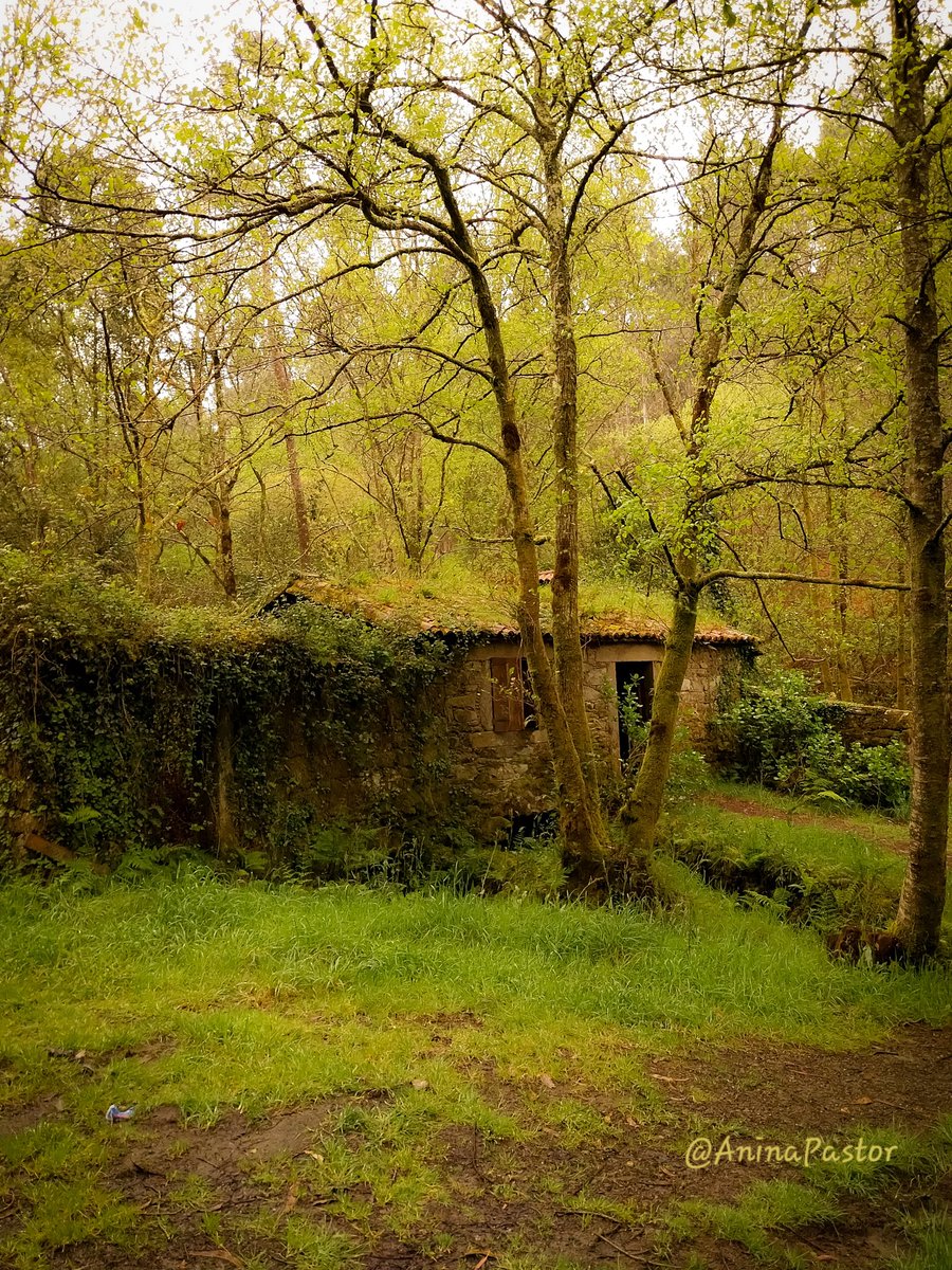 Once Upon A Time 🤫🖤🌿
#Galicia