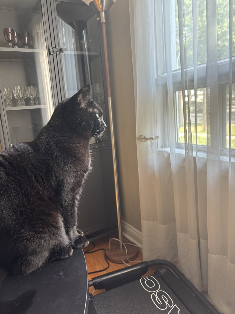 The watcher