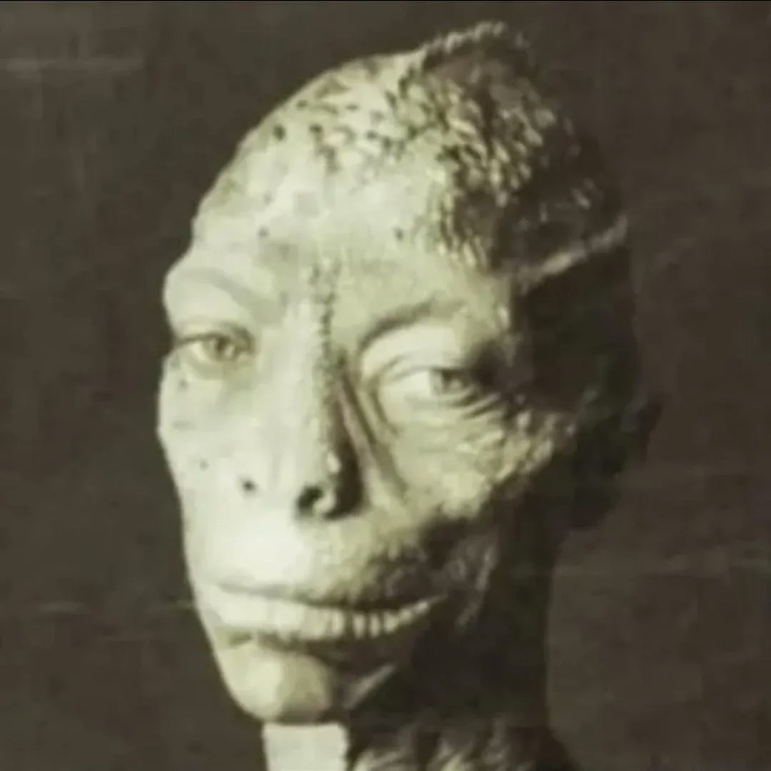 UFO mania tweet media