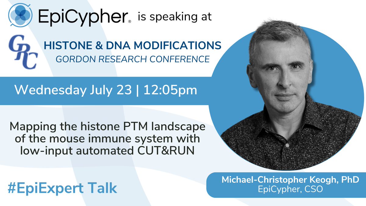 epicypher's tweet image. See you at GRC Italy 🇮🇹
🧬 Dr. Michael Keogh presents Wednesday, July 23 @ 12:05 PM on 2,200+ low-input CUT&RUN profiles in mouse immune cells.
GRC on Histone & DNA Modifications → chromatin insights at scale. #Epigenetics #Chromatin #CUTandRUN