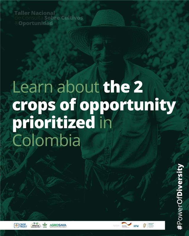 Alliance of Bioversity International and CIAT tweet media