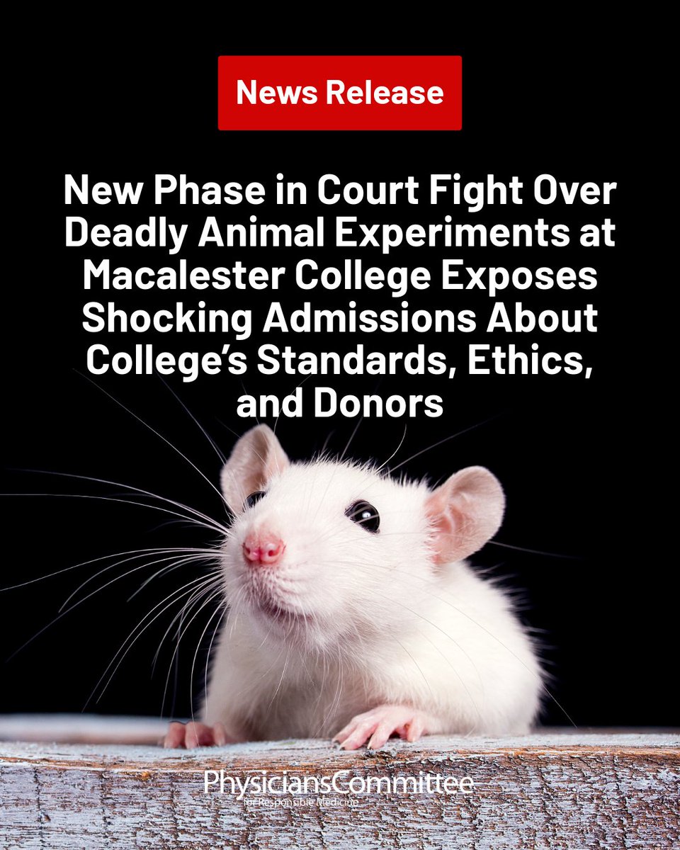 PCRM's tweet image. Dr. Neal Barnard’s lawsuit challenges Macalester College’s use of live rats in psych labs. The school admits to deprivation and euthanasia, despite claiming high welfare standards.
Read more: pcrm.org/news/news-rele…