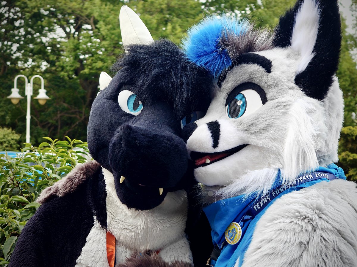 Being told all the foxy secrets by <a href="/pohakufox/">Pohaku 💙🦊💙</a>. 👀

📸 <a href="/Kaiyo_Wulfstar/">K A i Y O</a> 
#fursuit #furry