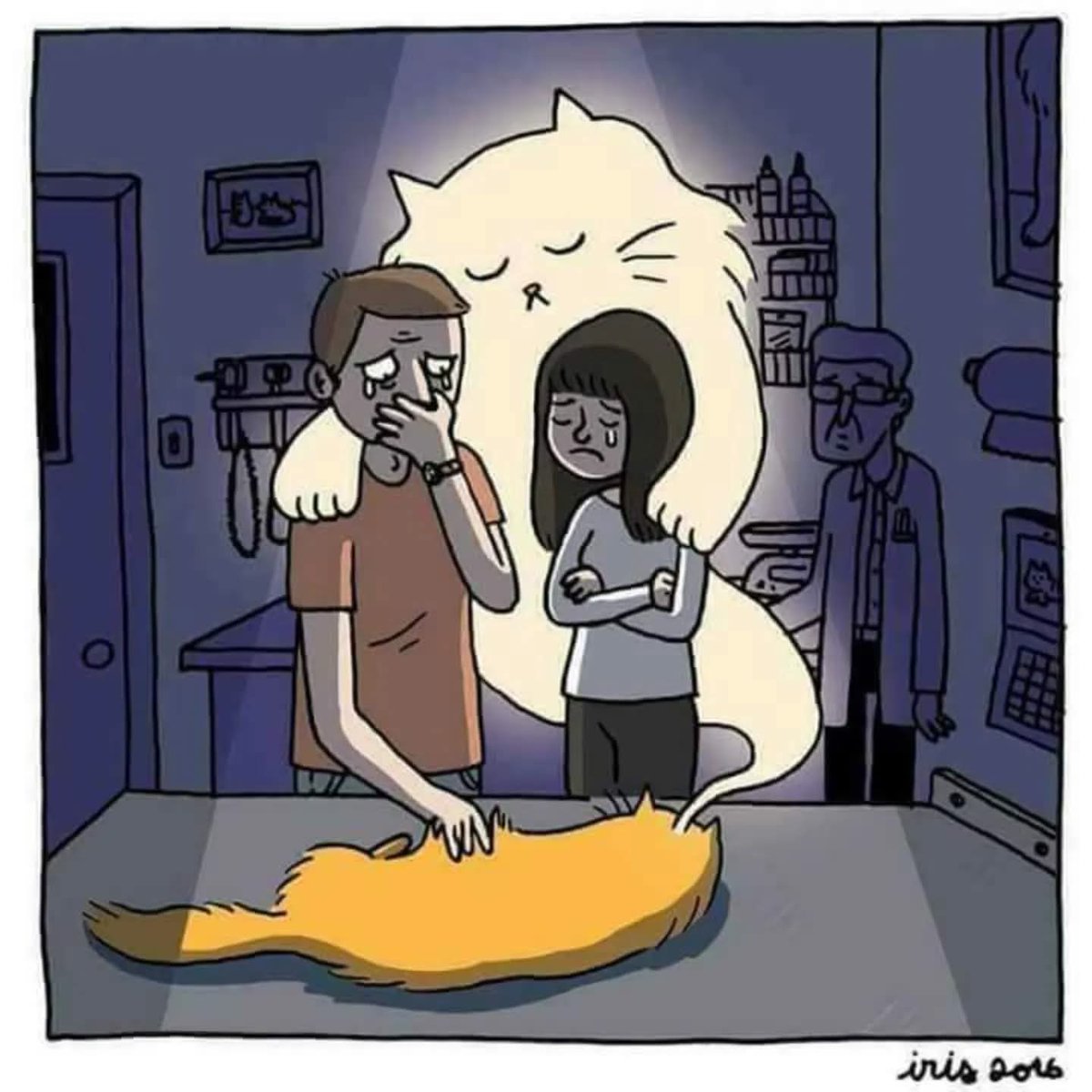 GRamirezF_D12's tweet photo. Cuando yo muera, por favor no digas:
"No volveré a tener otro gato jamás".
No, al contrario, sal, corre, ve y busca uno sin hogar abandonado, en la calle o de un refugio y déjale ocupar mi lugar... 🖤🐈‍⬛ https://t.co/SD61CrLopf