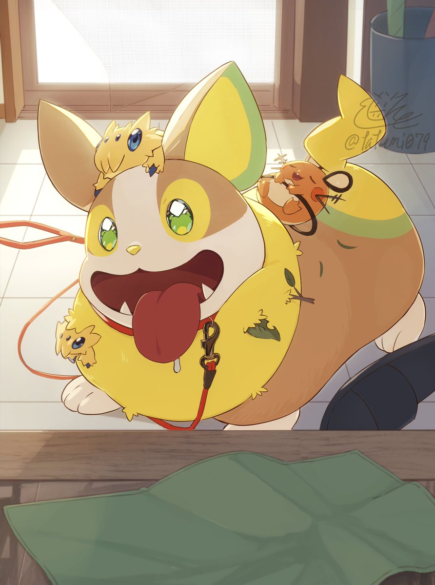 tatumi079sub's tweet image. 脱走から帰還したワンパチ
#ポケモン #Pokemon
