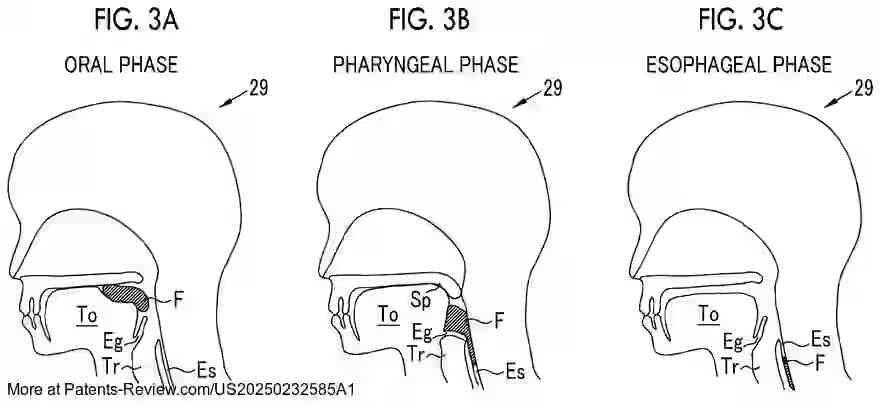 PatentPulse's tweet image. 🔍 New patent application alert: #US20250232585A1 by #Fujifilm!

This #ImageProcessing device acquires examination videos for video endoscopic swallowing tests. It processes each frame to assign stage info, identifying which swallowing stage is depicted. It then calculates…