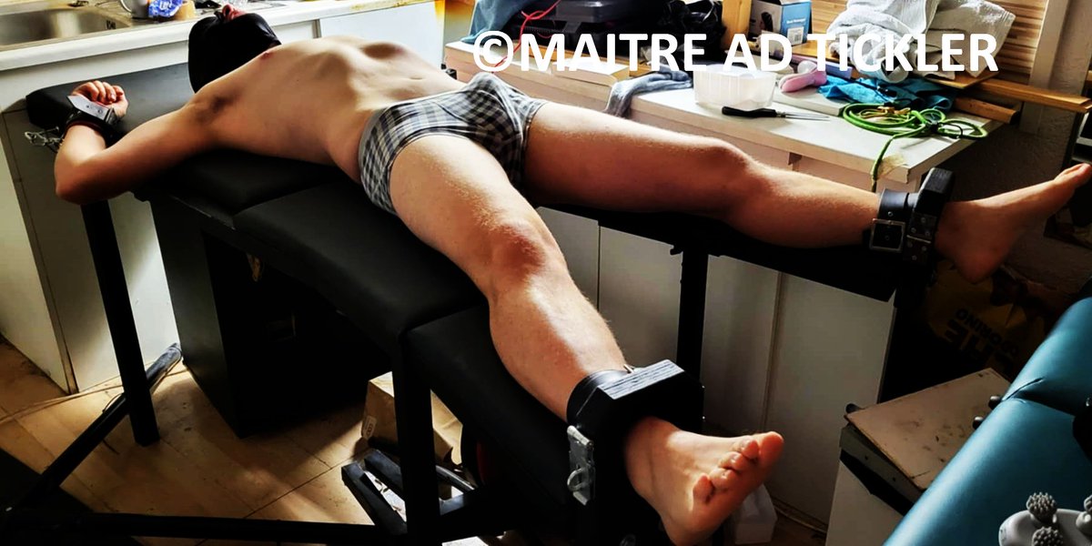 Maitre Ad Tickler tweet media